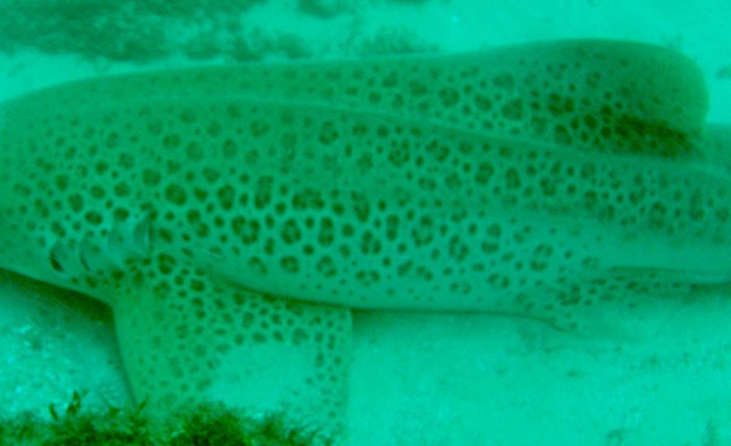 8951ba70-e62c-4561-847d-3c6df7a38236