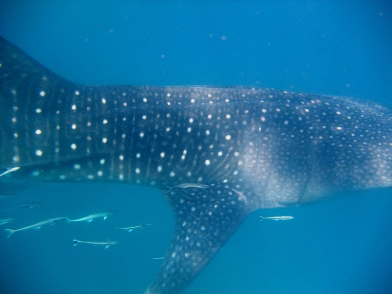 b695b985-c974-447e-8031-17ecaf20a71f