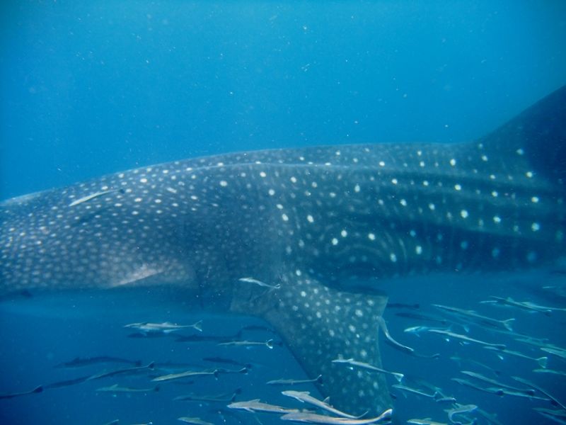 b695b985-c974-447e-8031-17ecaf20a71f