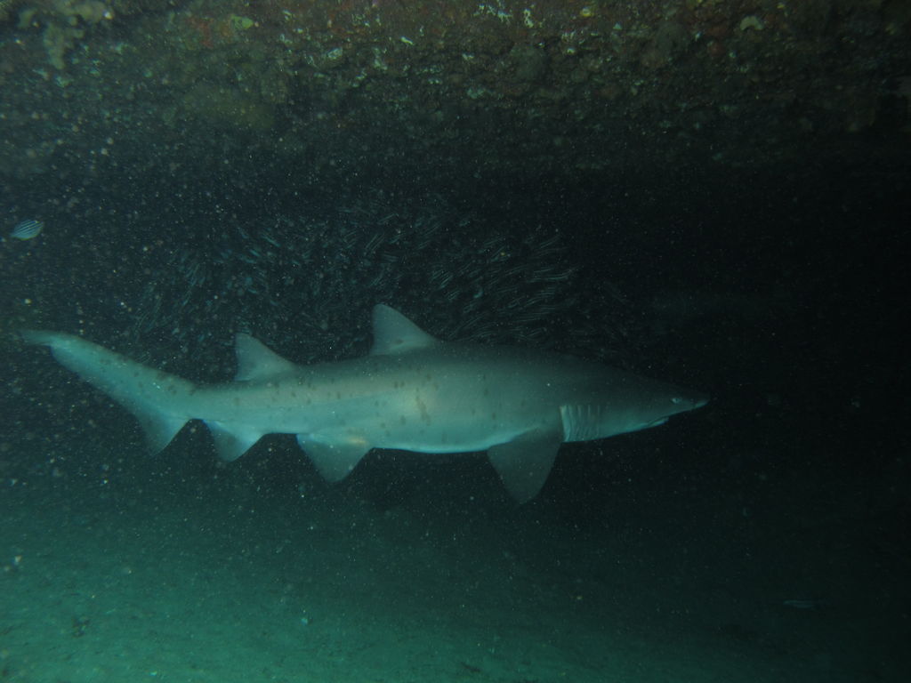 3263f6c0-7f28-42b0-b67e-3db4b4f6d852