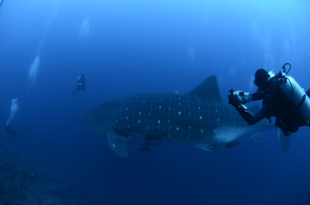 2c9d8986-1d41-4245-8ad1-ec110d7bc2e7