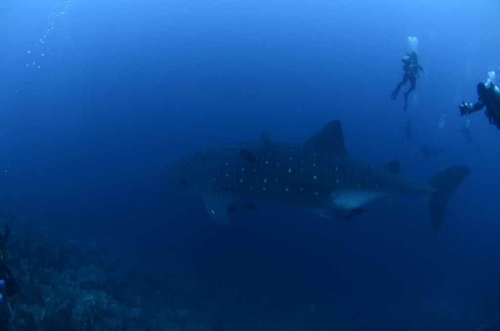 2c9d8986-1d41-4245-8ad1-ec110d7bc2e7