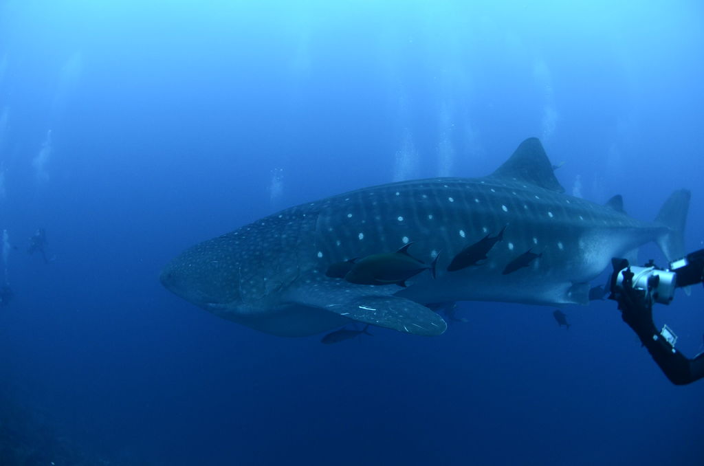 2c9d8986-1d41-4245-8ad1-ec110d7bc2e7