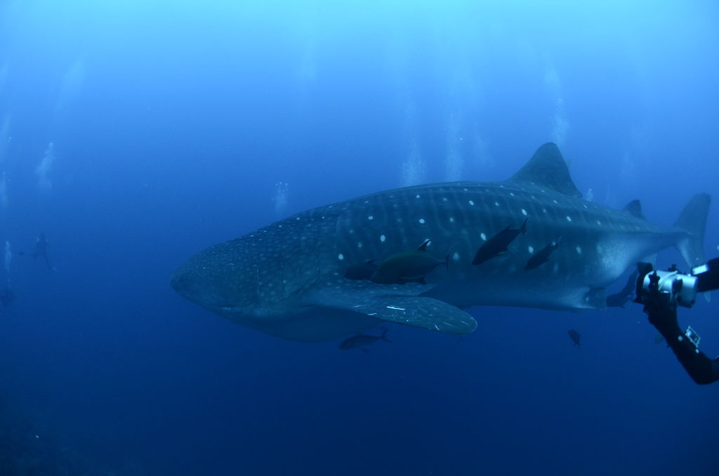 2c9d8986-1d41-4245-8ad1-ec110d7bc2e7