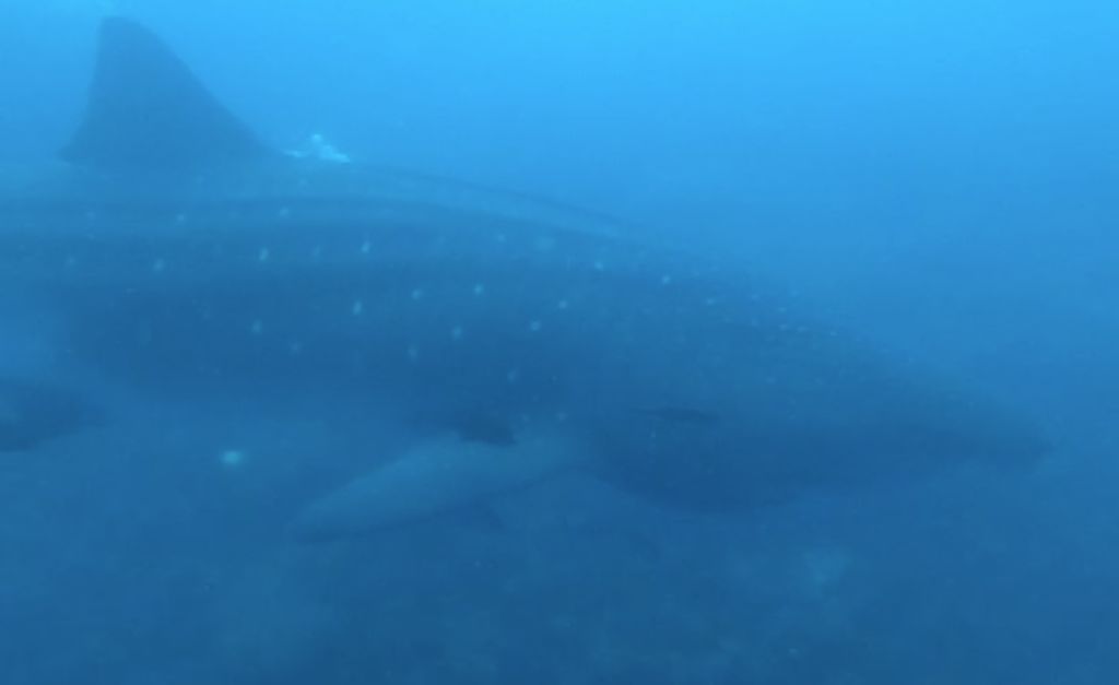 2c9d8986-1d41-4245-8ad1-ec110d7bc2e7