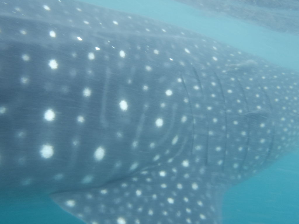 71cd50ce-27d2-4d04-890e-62be56b8e1a7