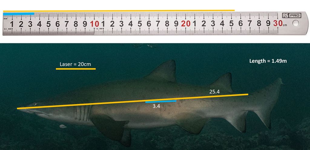 e9a895d2-b298-4fb9-97de-472acb93e6d0