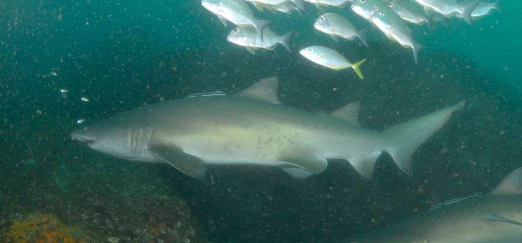 632c4302-d2e7-4e9d-ab43-0ce2f460056f