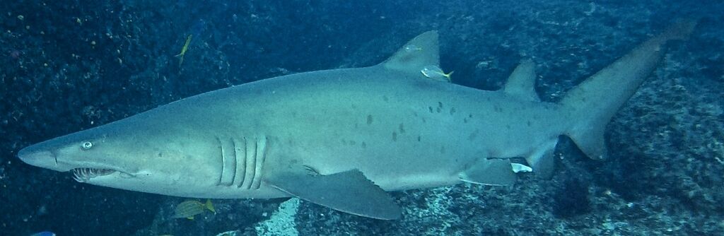 7f2c4166-d509-43ca-ae99-2026f4b1f794