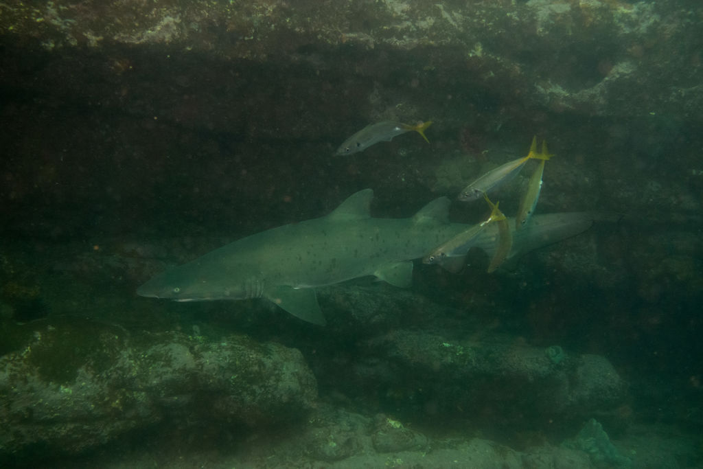 7e04e88c-2b81-4d5b-845c-03ddc57107c2