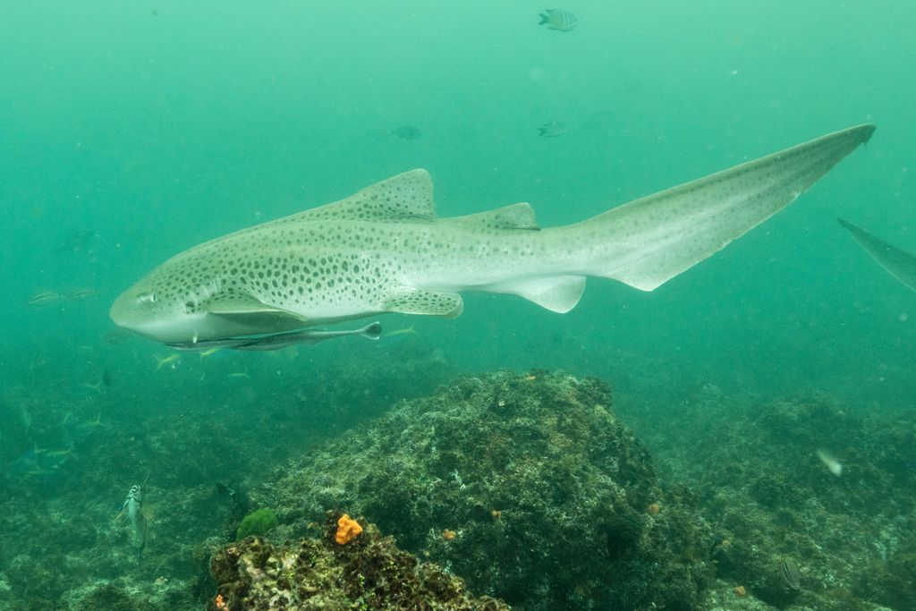 d0523cb8-6d12-4bd6-a78f-febfcf19ce3b