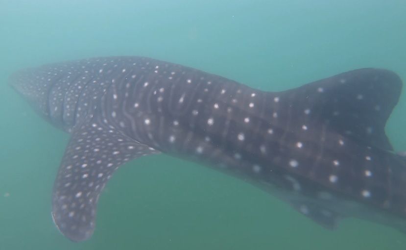 596418bf-a1bb-40fc-a1a9-039258d678e9