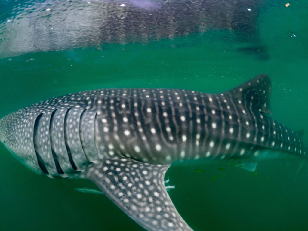 f06e84eb-0d69-4cb4-9f11-96506ac97426