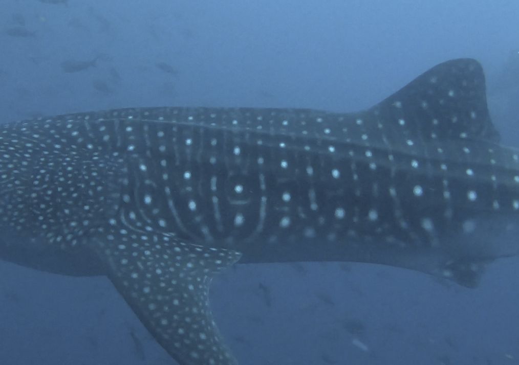 685f3ee9-d7b5-437f-98e8-0d5afd6021c4