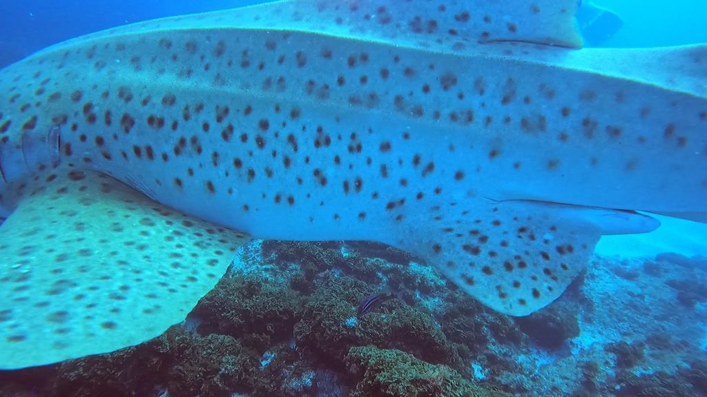 857bd346-5894-4420-b6de-5a64a11a324b