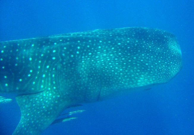 6e6a4e2d-5cc0-49ed-a8b3-567a54df4f0f