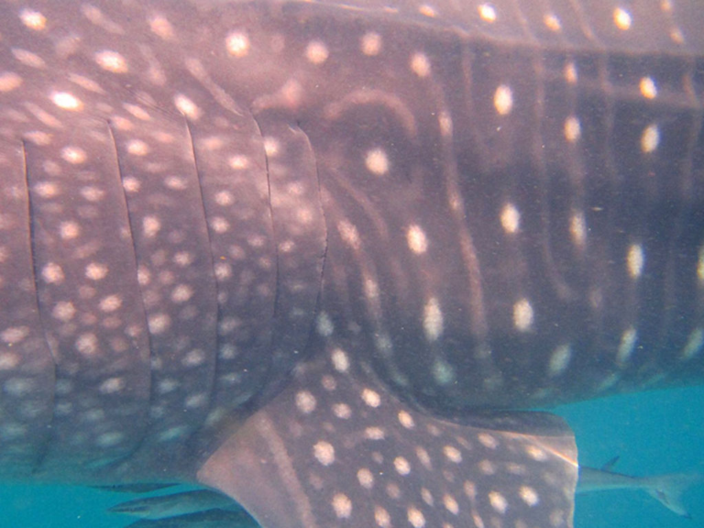 4c2c73da-b380-469d-ad2d-0382c2b6e4a1