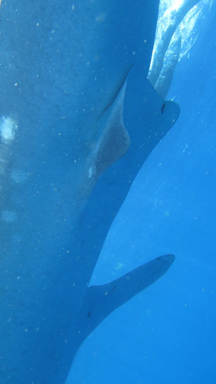 29b8041e-a765-4b6c-9af9-8a2c3193ce4c