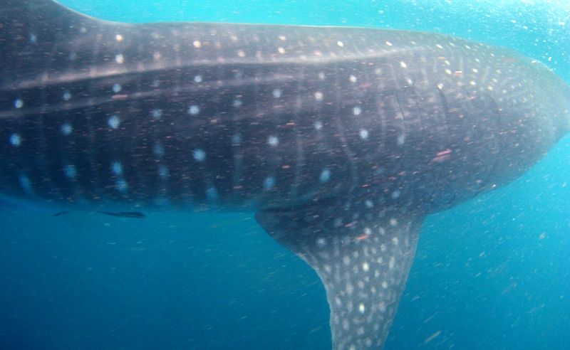 f53f3d27-da8b-4e9e-b732-403af03e0212