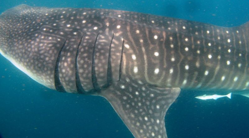 f53f3d27-da8b-4e9e-b732-403af03e0212