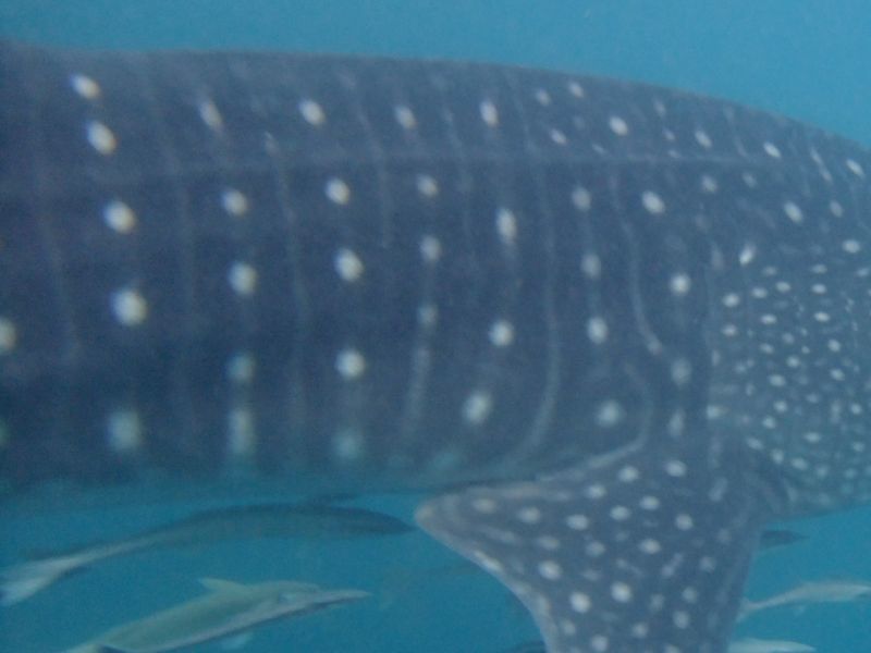 cfd44b72-59cb-4896-958d-d547eaa87696