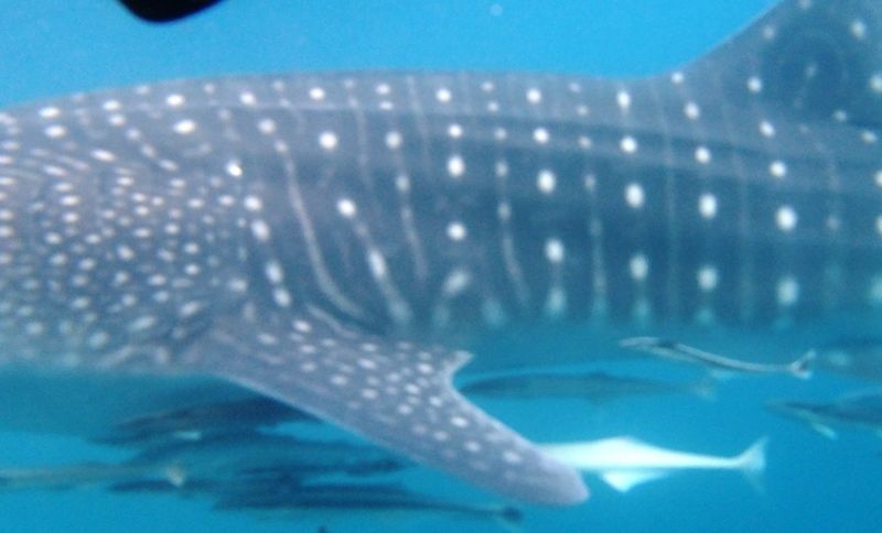 cfd44b72-59cb-4896-958d-d547eaa87696