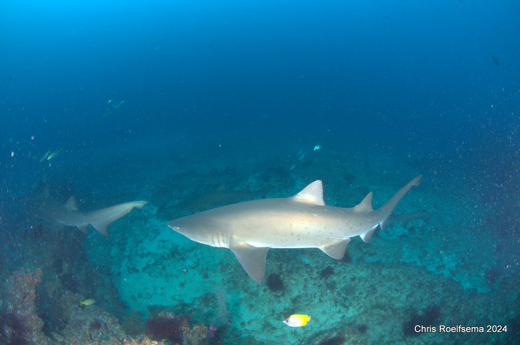 6ab547fe-e604-4b98-955c-b9f541035b35