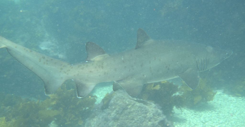 22ea09bc-fb68-4778-bc85-8ea08b7dfd88