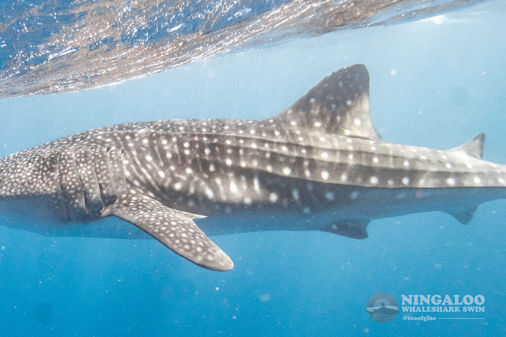 9516f62c-dab2-4f38-906d-5c22fee8de31