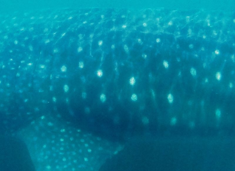 b1e76e4e-461b-4fff-93a5-8374d84732bd