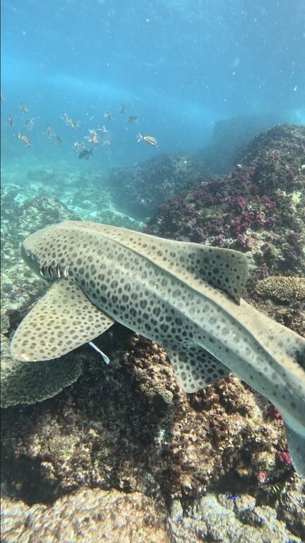 a8a27b58-d8a5-45bd-b2a0-c9a9b0756f02