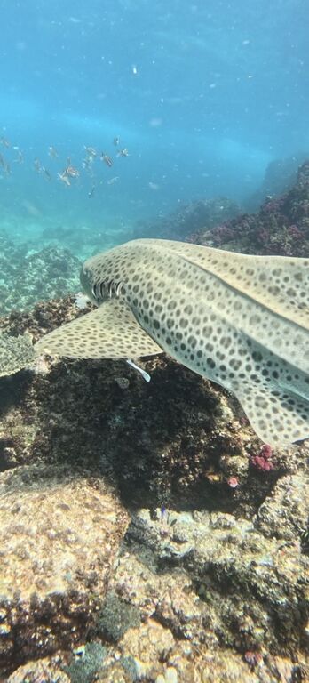 a8a27b58-d8a5-45bd-b2a0-c9a9b0756f02