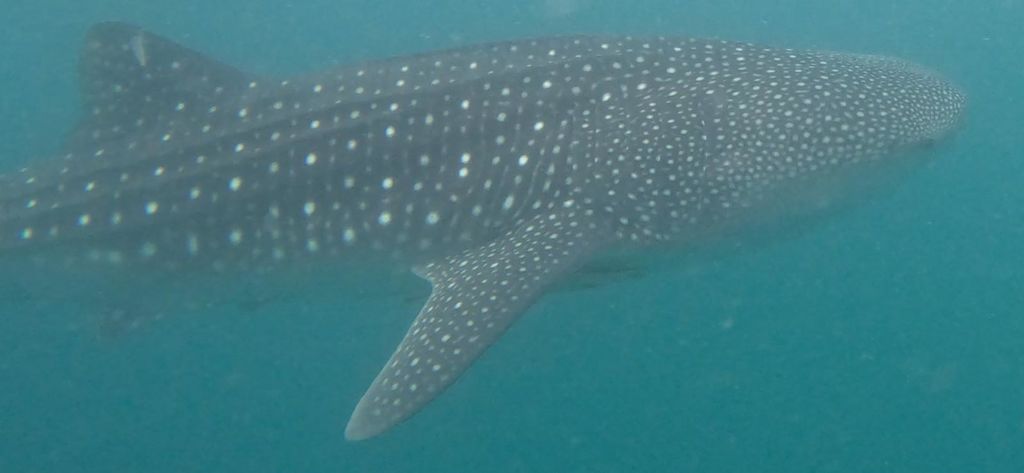 6bb35f61-b24e-4b6d-9b2e-94a9e6c22c82