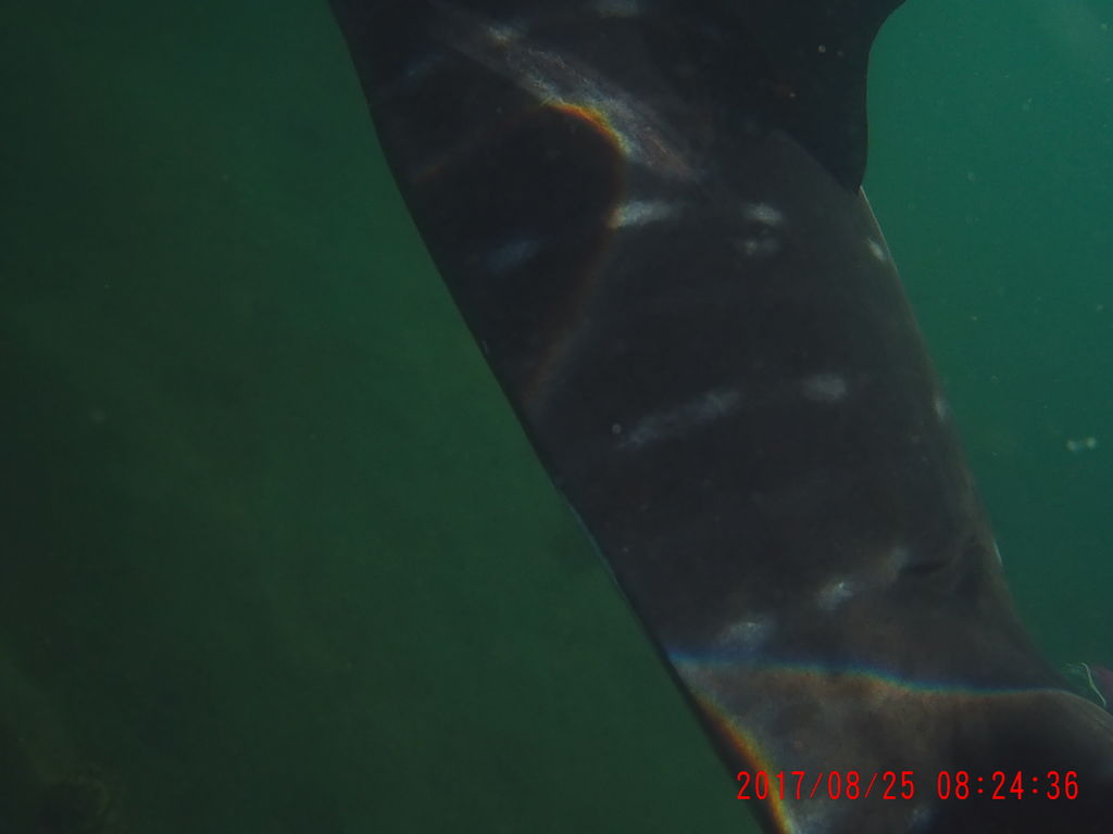 f3278745-e161-4d36-b13e-73c4c566d212