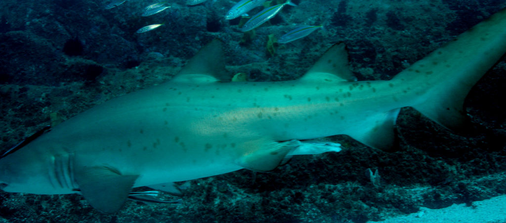 34bc83b2-8fdd-4deb-9955-687acc269c3a