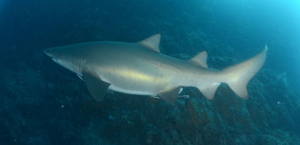 740f8948-196e-4c29-9f1c-ca940ac6950c