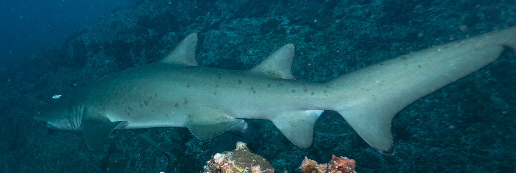 2e645350-a0bc-4116-93b8-376172974b2d