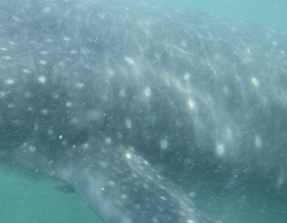 5242b041-eb84-4489-860a-a167d4930561