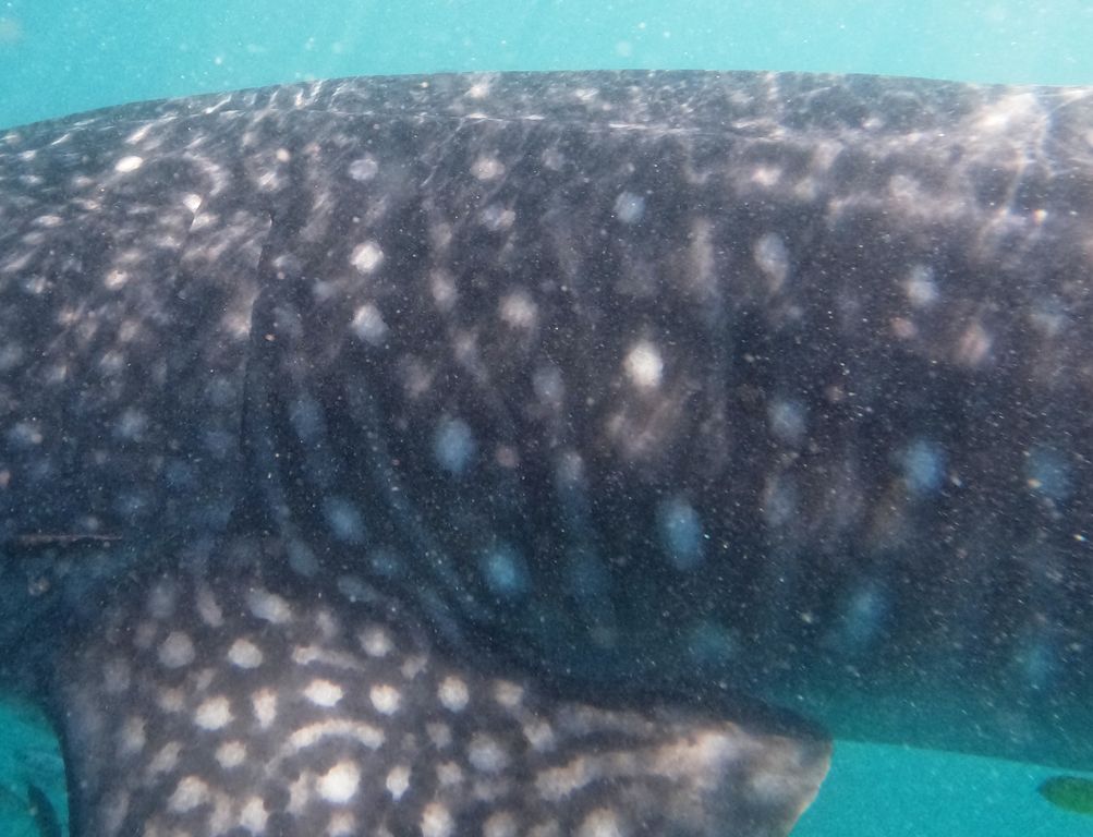 288f5405-8abf-469f-941a-a772c4f1f070