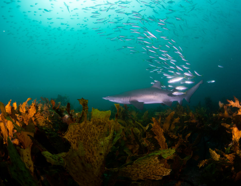 387a9329-fbe8-4d66-ae14-6142b7bf9d84