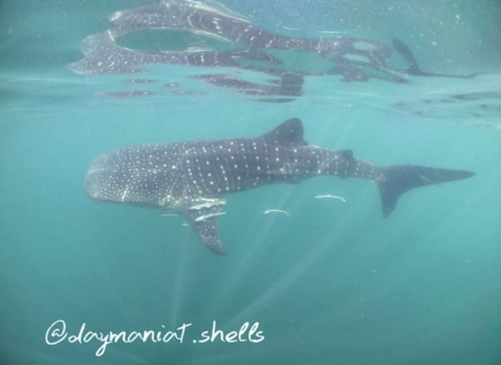 11188227-63c6-4dde-84aa-34e74db431ed