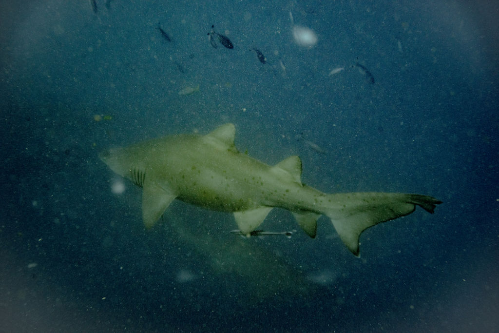 34acc899-6eeb-4f61-85e5-ad64a59fd5ca