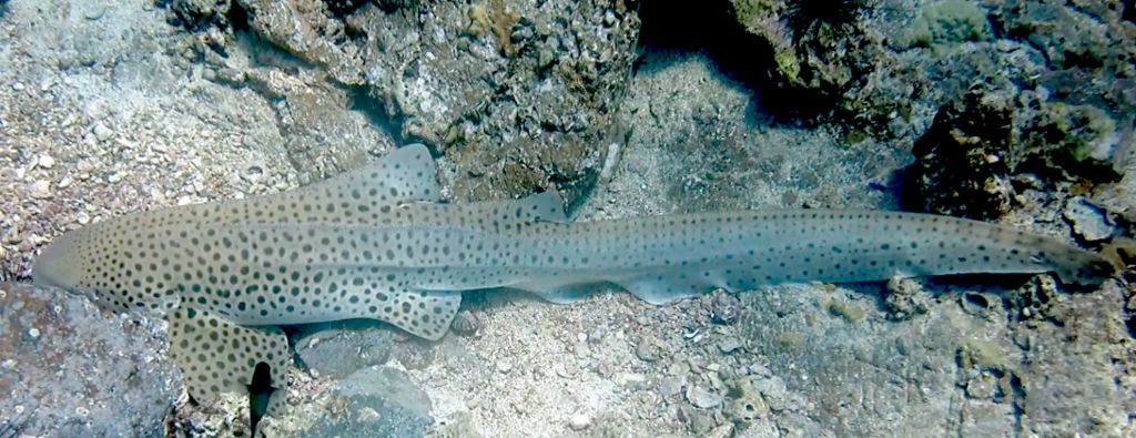 b9e2f1ca-9d2f-4e08-9aea-489edd2b4da6