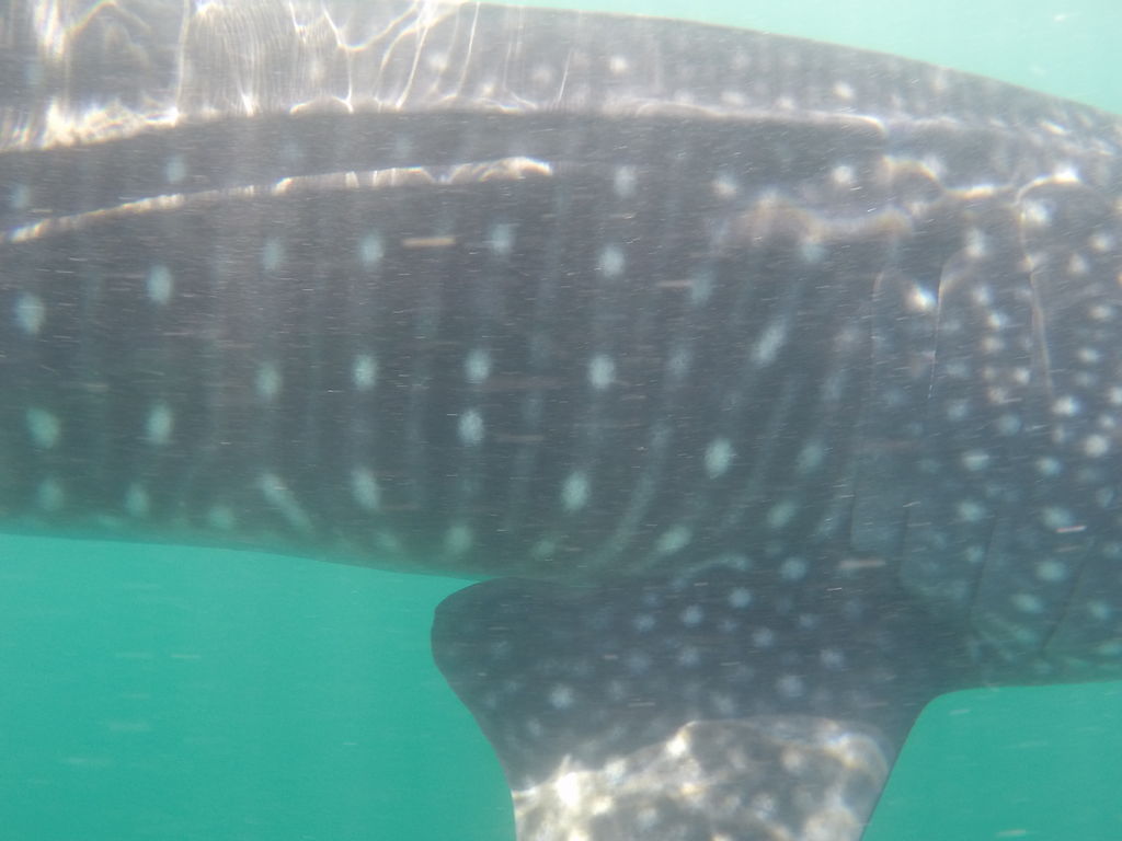 6846545b-4031-4f81-8544-f74d95eb6775