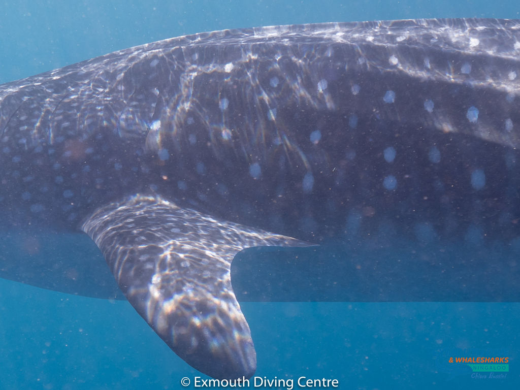 b09475f8-932a-4b72-b021-a0d5a3ce365d