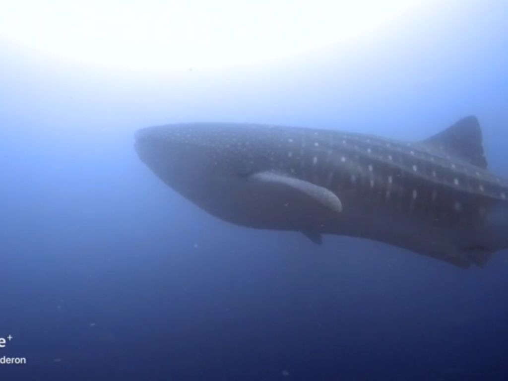 64d9b149-7a37-45c0-b8f2-64e17748abf1