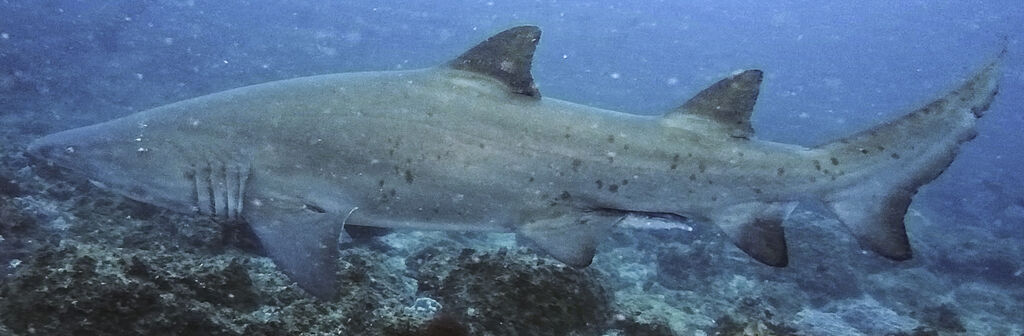 db222542-741c-4018-976c-9ca959493b25