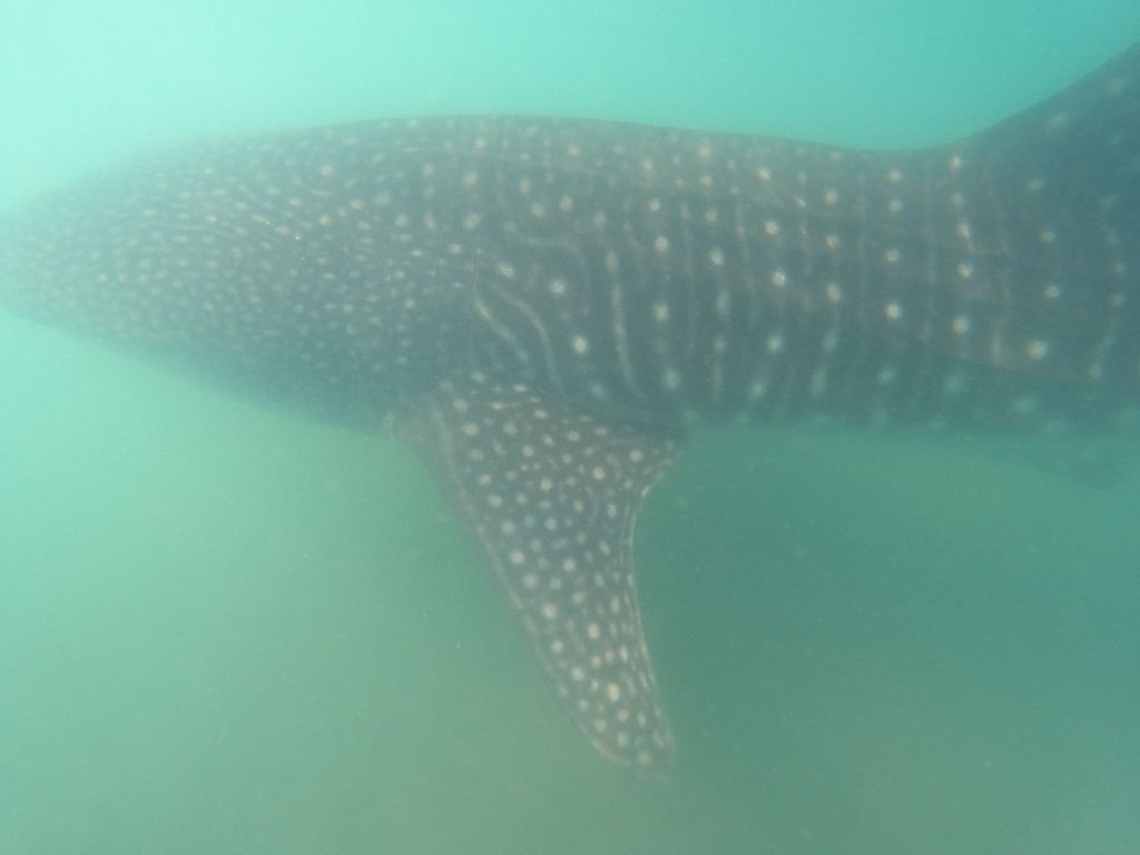 39c73da5-1e11-4fda-9d53-77273f6e23b7