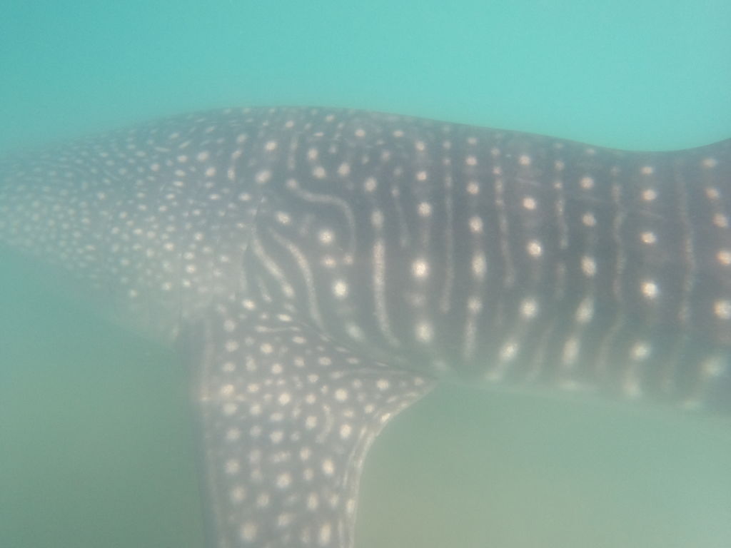 39c73da5-1e11-4fda-9d53-77273f6e23b7