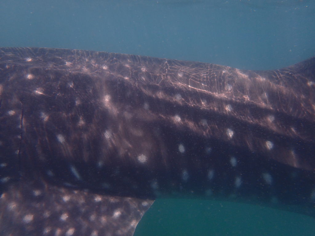 221e2a1b-9d07-431d-9b8e-87552b19e02d